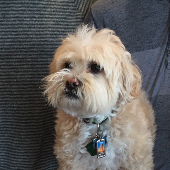 Meet your Posher, Jay - Picture 1 of 1